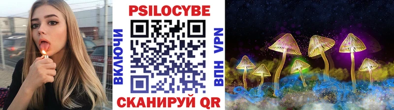 Псилоцибиновые грибы GOLDEN TEACHER  KRAKEN tor  Балтийск 